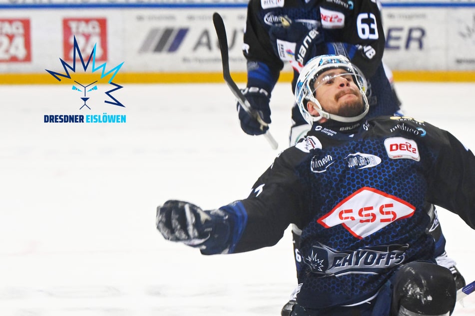 Final-Party! Dresdner Eislöwen schlagen Huskies und spielen um den Aufstieg