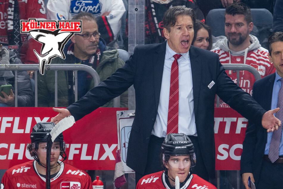 Peinlich-Auftritt der Kölner Haie: KEC verliert gegen das Liga-Schlusslicht