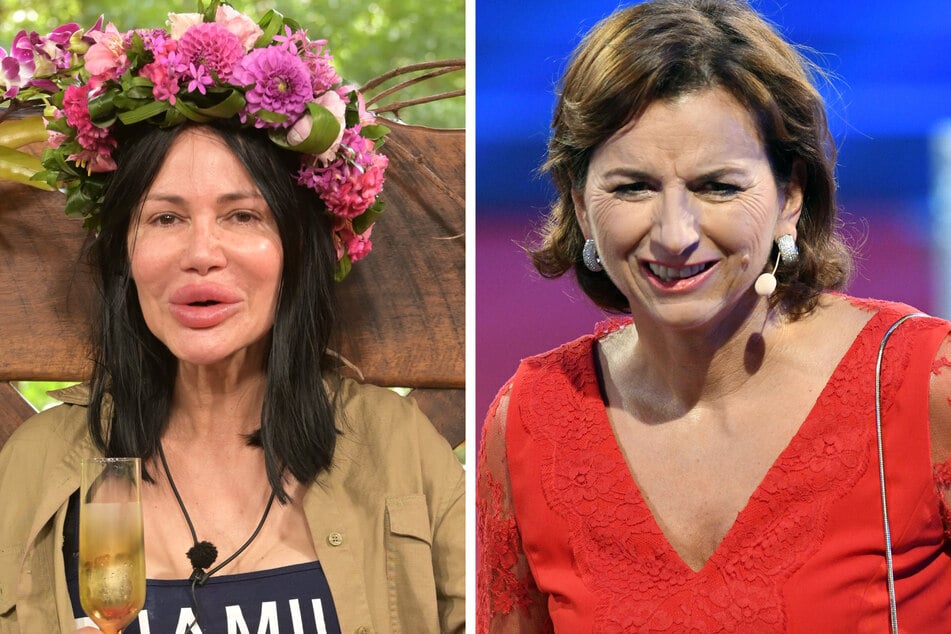 Claudia Obert: Claudia Obert ätzt gegen Dschungelkönigin Djamila Rowe: "So abartig"